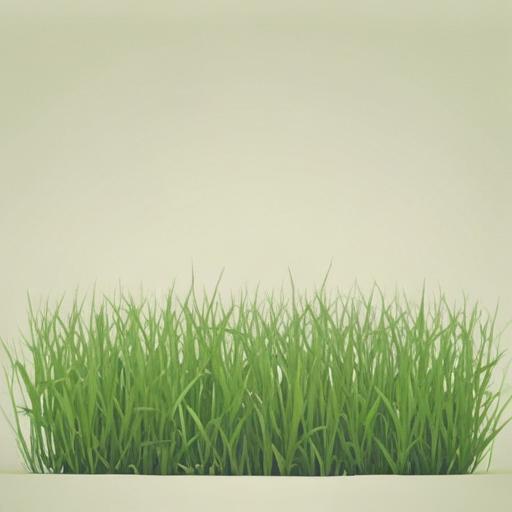 Imagen mnemotécnica para la palabra “grass”